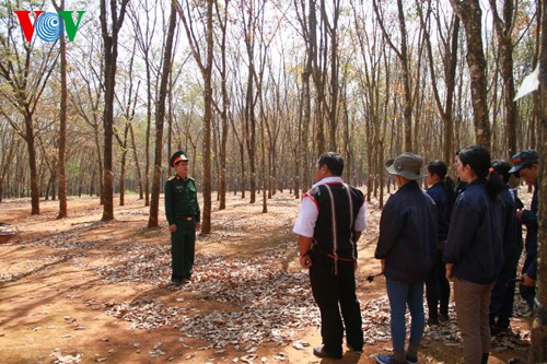 Đổi thay ở vùng biên giới tỉnh Gia Lai (11/10/2016)